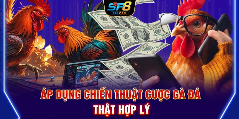 Áp dụng chiến thuật cược gà đá thật hợp lý