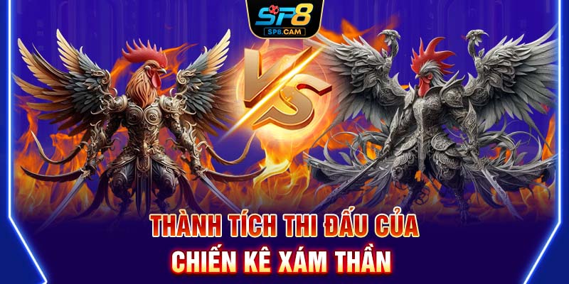 Thành tích thi đấu của Chiến kê xám thần