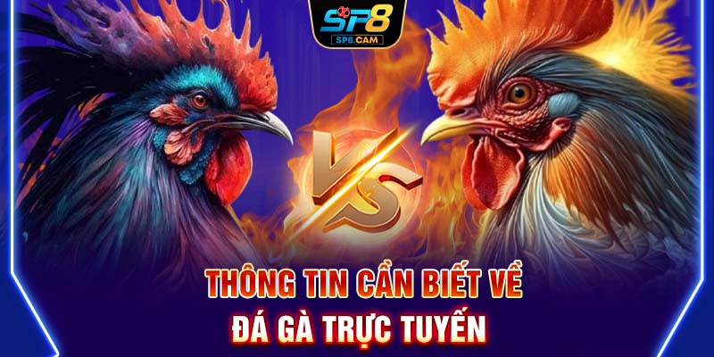 Thông tin cần biết về đá gà trực tuyến