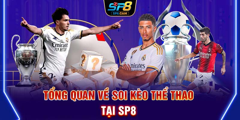 Tổng quan về soi kèo thể thao tại SP8