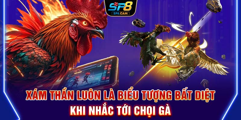 Xám thần luôn là biểu tượng bất diệt khi nhắc tới chọi gà